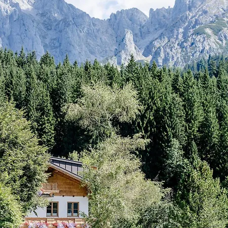 Kleinmauerreith Alpine Hideaway Am Gosaukamm, Berg-apartment